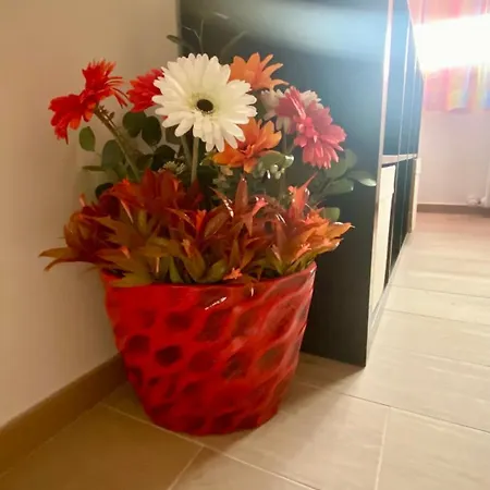 Casa Colore